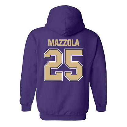 Washington - NCAA Softball : Sophi Mazzola - Classic Shersey Hooded Sweatshirt-1