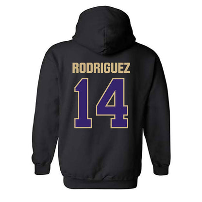 Washington - NCAA Softball : Amira Rodriguez - Classic Shersey Hooded Sweatshirt-1