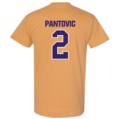 Washington - NCAA Beach Volleyball : Katarina Pantovic - Classic Shersey T-Shirt-1