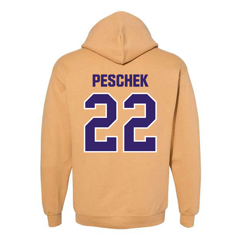 Washington - NCAA Softball : Riley Peschek - Classic Shersey Hooded Sweatshirt-1