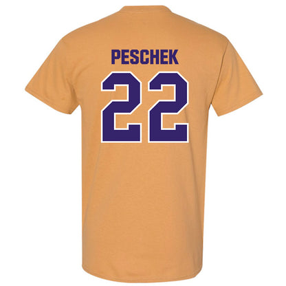 Washington - NCAA Softball : Riley Peschek - Classic Shersey T-Shirt-1