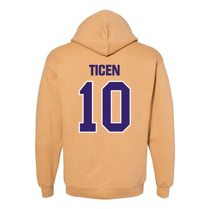 Washington - NCAA Softball : Annika Ticen - Classic Shersey Hooded Sweatshirt-1