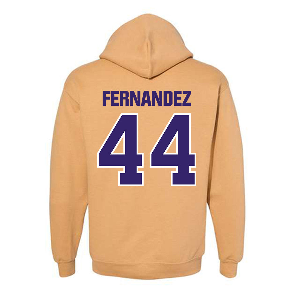 Washington - NCAA Men's Soccer : Gabe Fernandez - Classic Shersey Hooded Sweatshirt-1