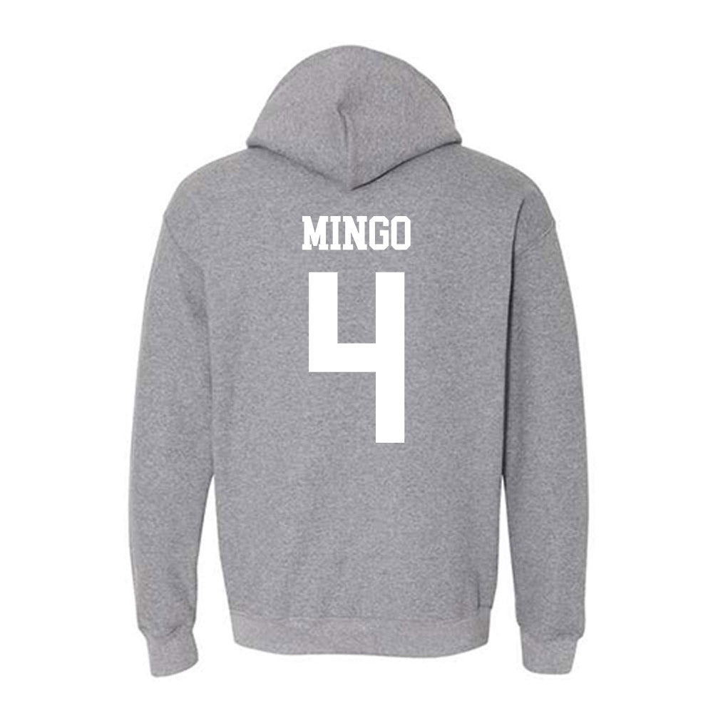 Penn State - NCAA Men's Basketball : Kayden Mingo - Classic Shersey Hooded Sweatshirt-1