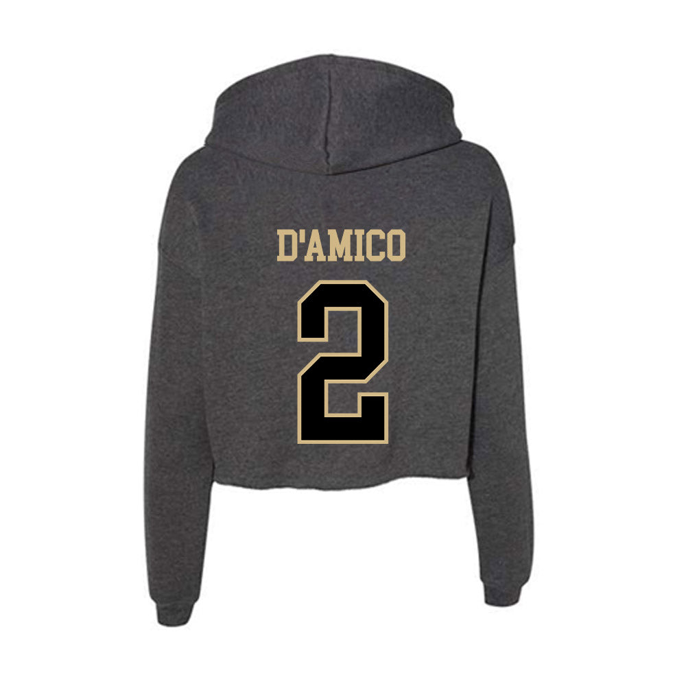 Wake Forest - NCAA Baseball : Logan D'Amico - Classic Shersey Women's Crop Fleece Hooded Sweatshirt-1