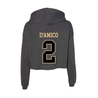 Wake Forest - NCAA Baseball : Logan D'Amico - Classic Shersey Women's Crop Fleece Hooded Sweatshirt-1