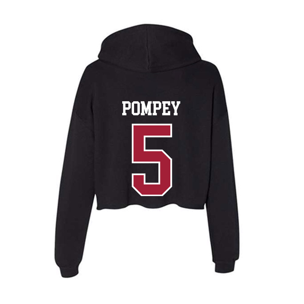 Arkansas - NCAA Baseball : TJ Pompey - Women's Crop Fleece Hoodie-1