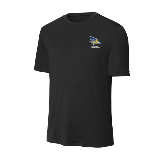 CSU Bakersfield - NCAA Women's Volleyball : Josephine Rausch - Activewear T-Shirt-0