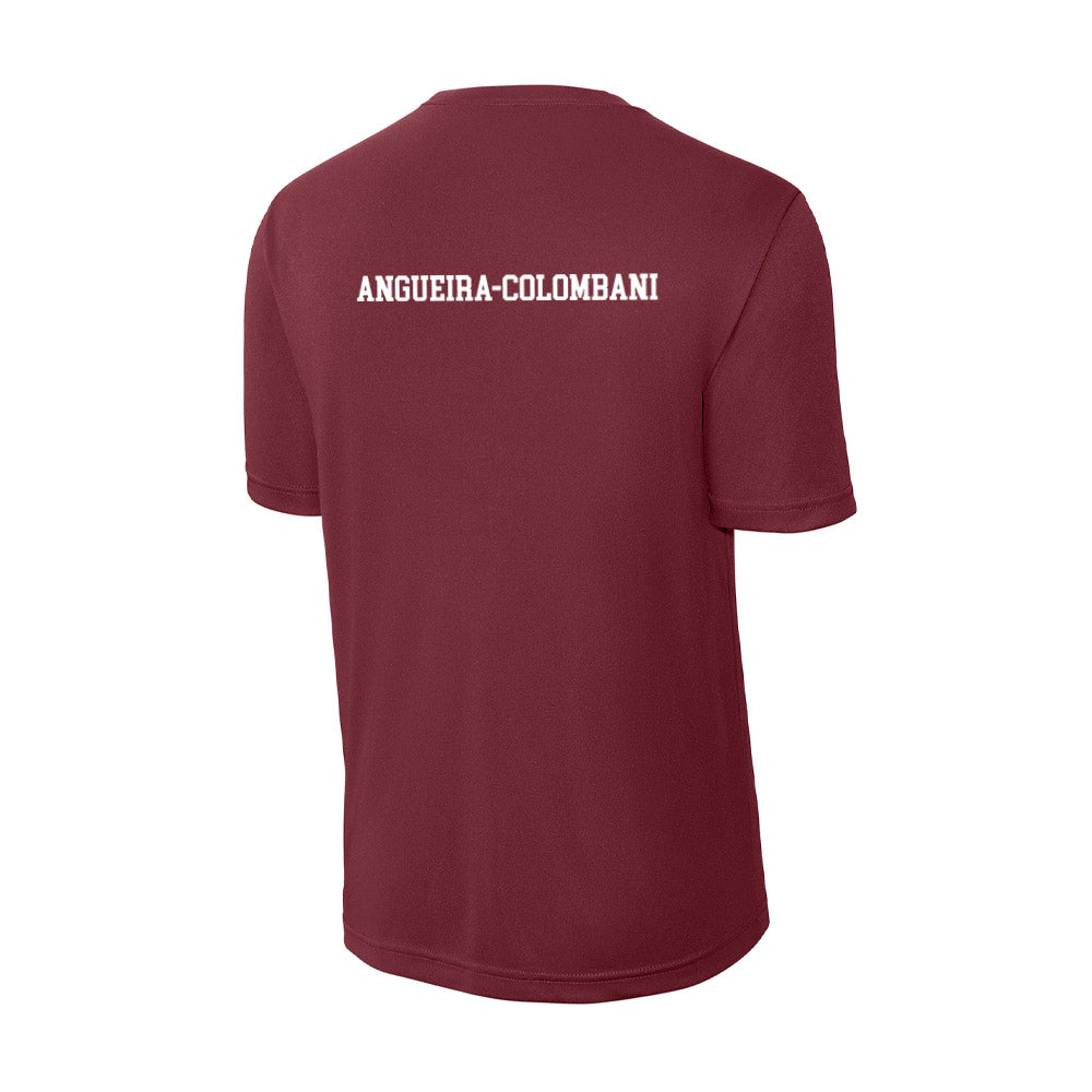 FSU - NCAA Women's Swimming & Diving : Alexandra Angueira-Colombani - Activewear T-Shirt-1