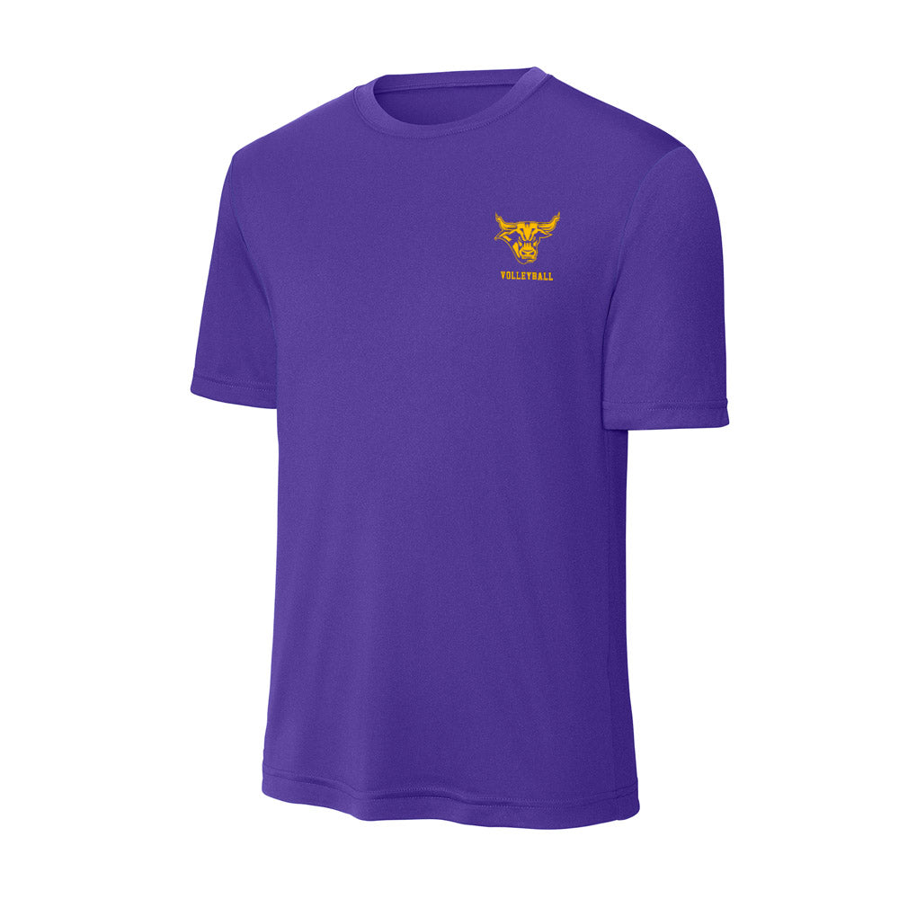 Minn. St. - NCAA Women's Volleyball : Jadyn Lester - Activewear T-Shirt-0