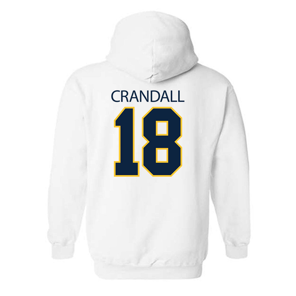 UCI - NCAA Baseball : Zach Crandall - Classic Shersey Hooded Sweatshirt-1