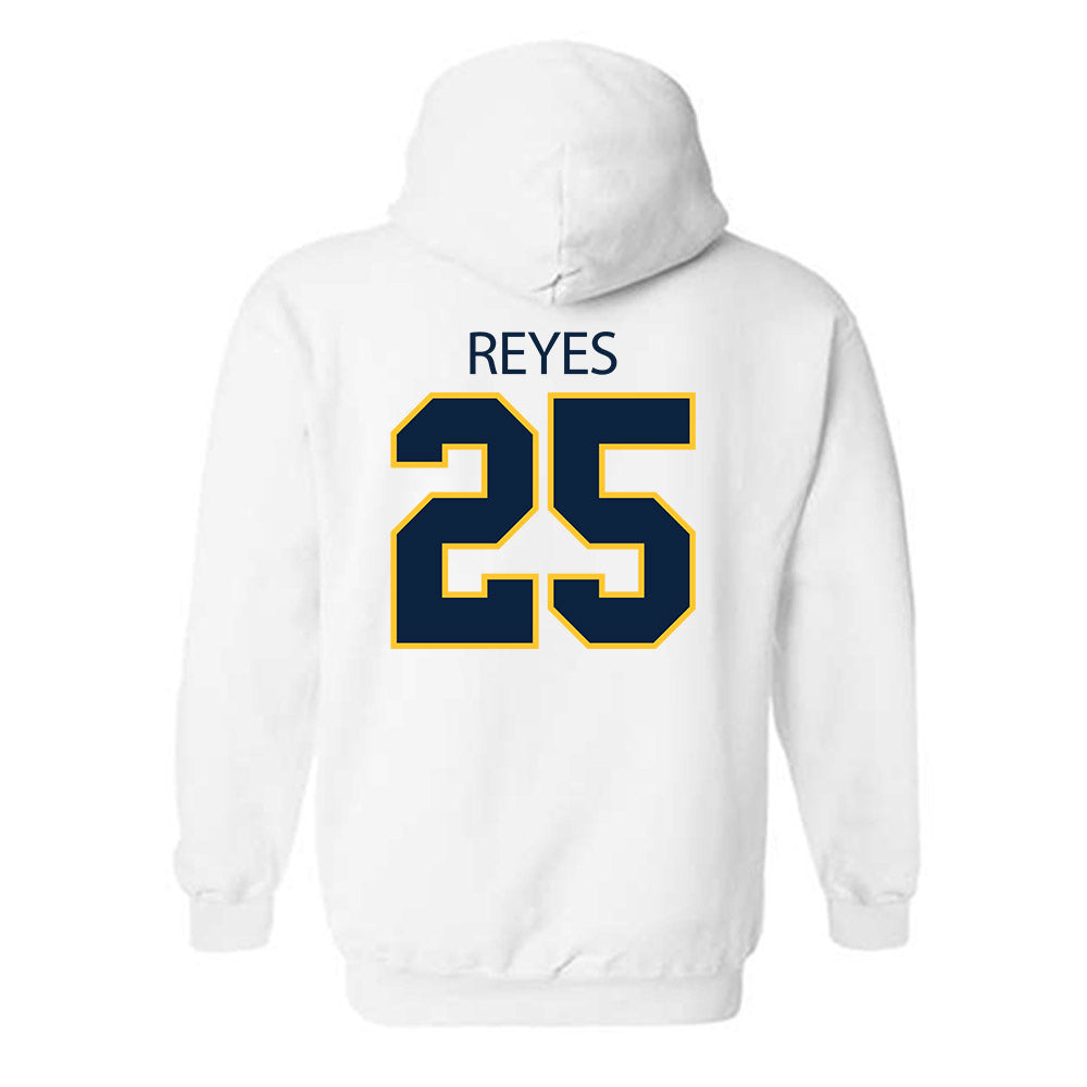 UCI - NCAA Baseball : Alonso Reyes - Classic Shersey Hooded Sweatshirt-1