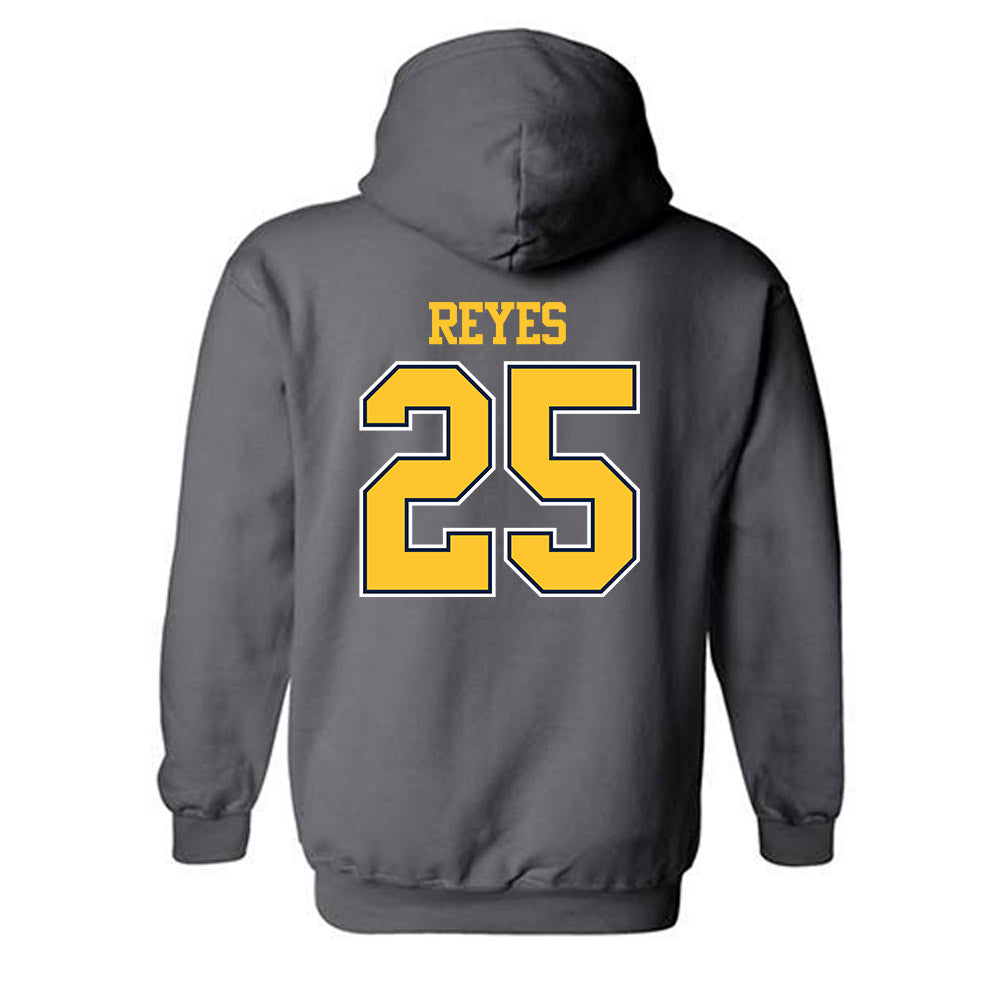 UCI - NCAA Baseball : Alonso Reyes - Classic Shersey Hooded Sweatshirt-1