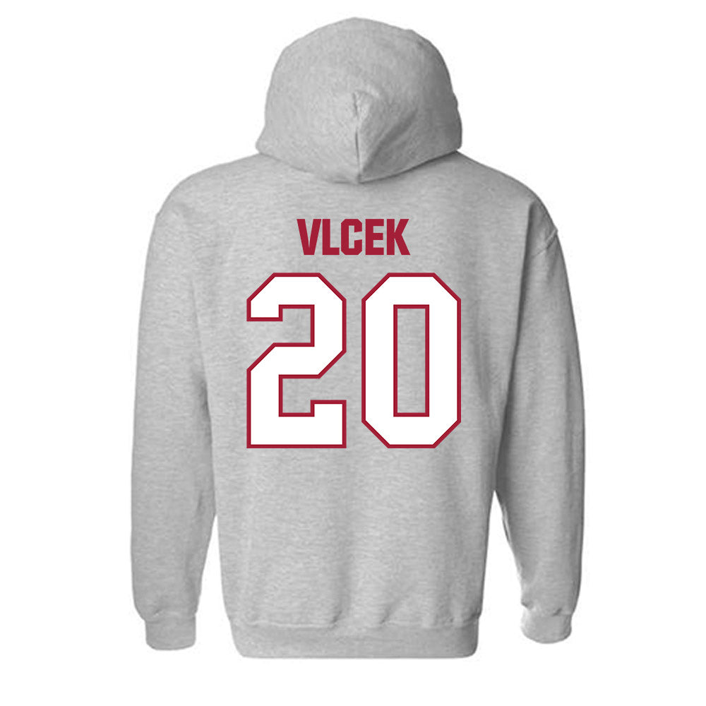 Indiana - NCAA Women's Soccer : Haden Vlcek - Classic Shersey Hooded Sweatshirt-1