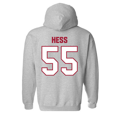 Indiana - NCAA Softball : Taylor Hess - Classic Shersey Hooded Sweatshirt-1