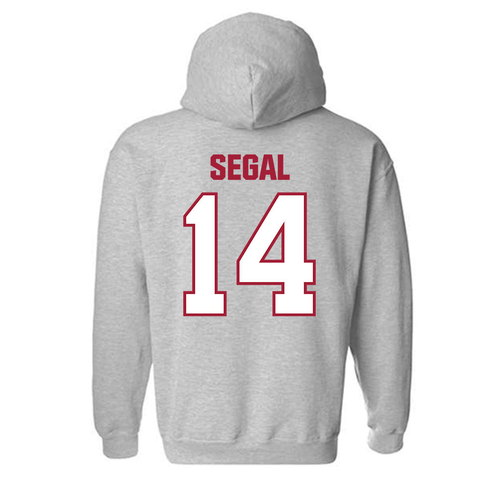 Indiana - NCAA Women's Volleyball : Emma Segal - Classic Shersey Hooded Sweatshirt-1