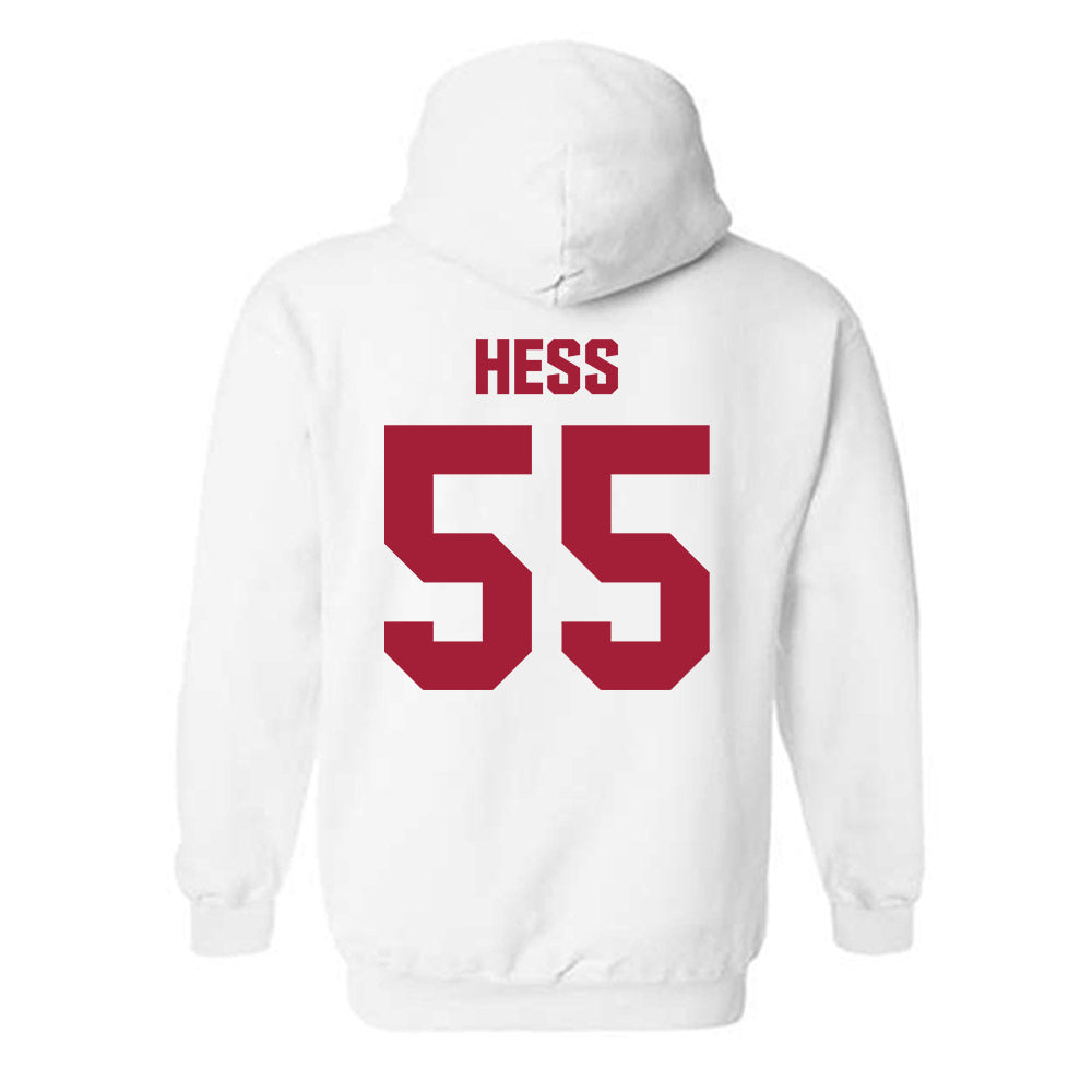 Indiana - NCAA Softball : Taylor Hess - Classic Shersey Hooded Sweatshirt-1