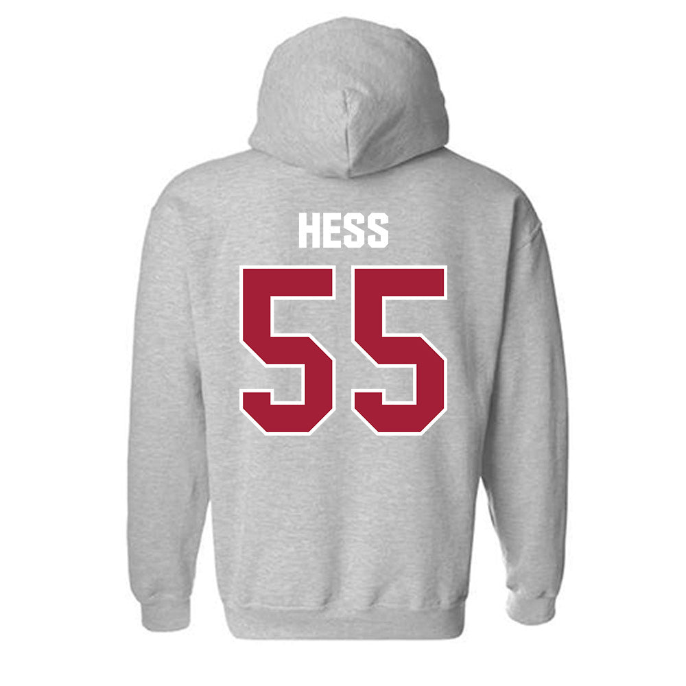 Indiana - NCAA Softball : Taylor Hess - Classic Shersey Hooded Sweatshirt-1