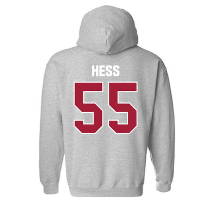 Indiana - NCAA Softball : Taylor Hess - Classic Shersey Hooded Sweatshirt-1