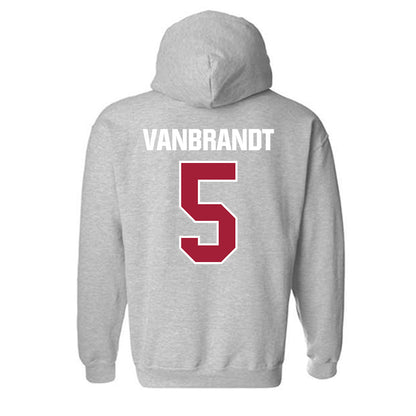 Indiana - NCAA Softball : Aly VanBrandt - Classic Shersey Hooded Sweatshirt-1