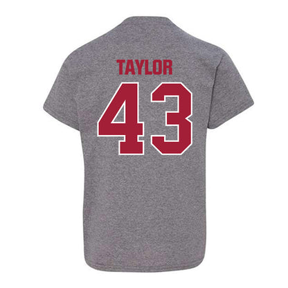 Indiana - NCAA Football : Bryce Taylor - Classic Shersey Youth T-Shirt-1