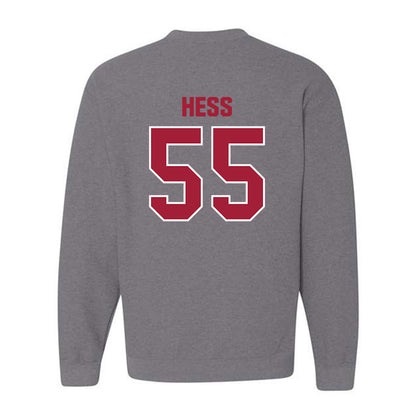 Indiana - NCAA Softball : Taylor Hess - Classic Shersey Crewneck Sweatshirt-1