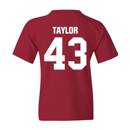 Indiana - NCAA Football : Bryce Taylor - Classic Shersey Youth T-Shirt-1