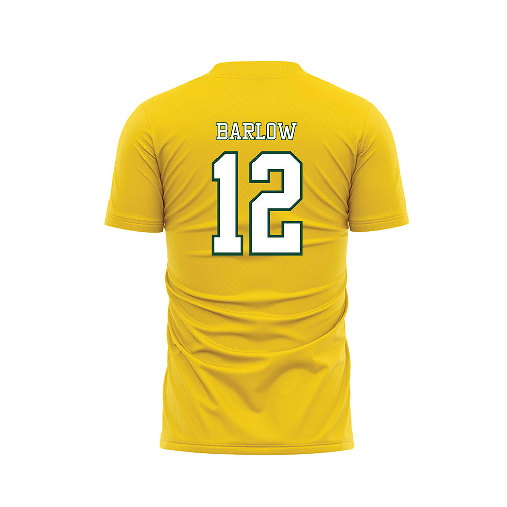 UVM - NCAA Men's Soccer : Nash Barlow - Gold Soccer Jersey-1
