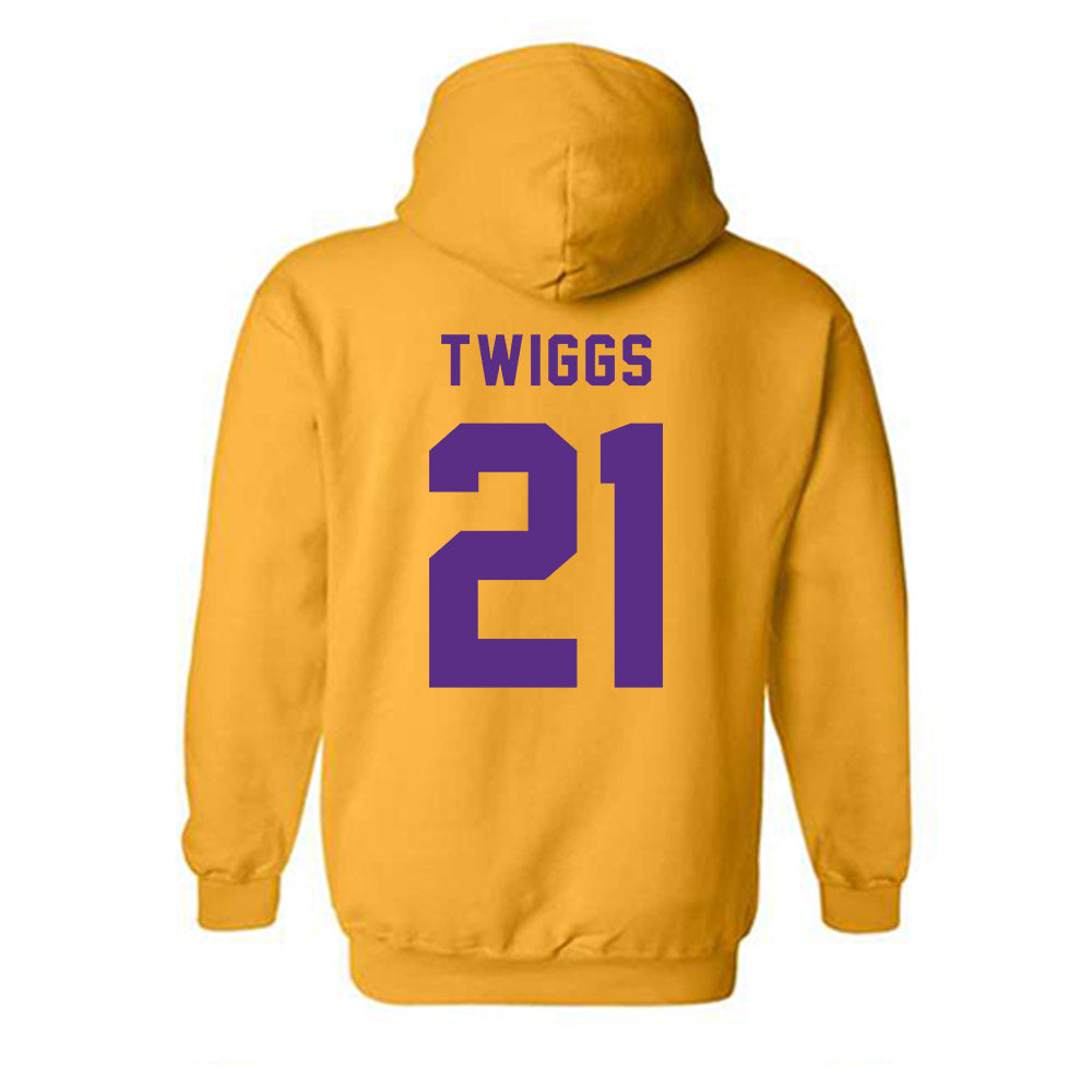 PVAMU - NCAA Women's Soccer : Destini Twiggs - Classic Shersey Hooded Sweatshirt-1