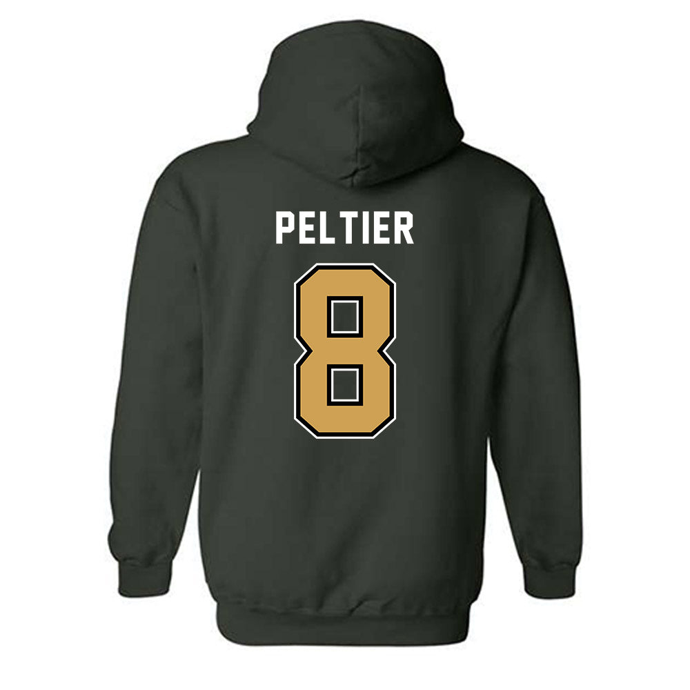 Wright State - NCAA Baseball : Jp Peltier - Hooded Sweatshirt-1