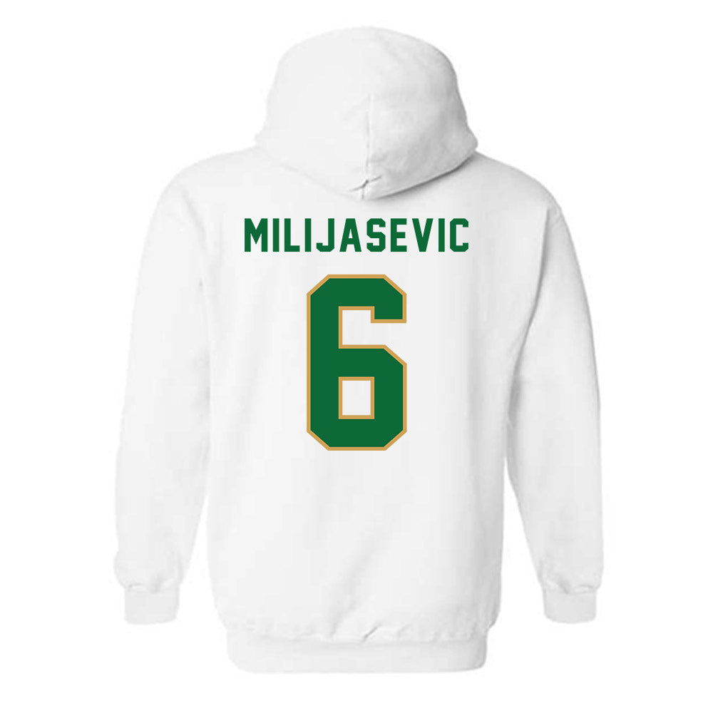 Wright State - NCAA Men's Basketball : Ilija Milijasevic - Hooded Sweatshirt-1
