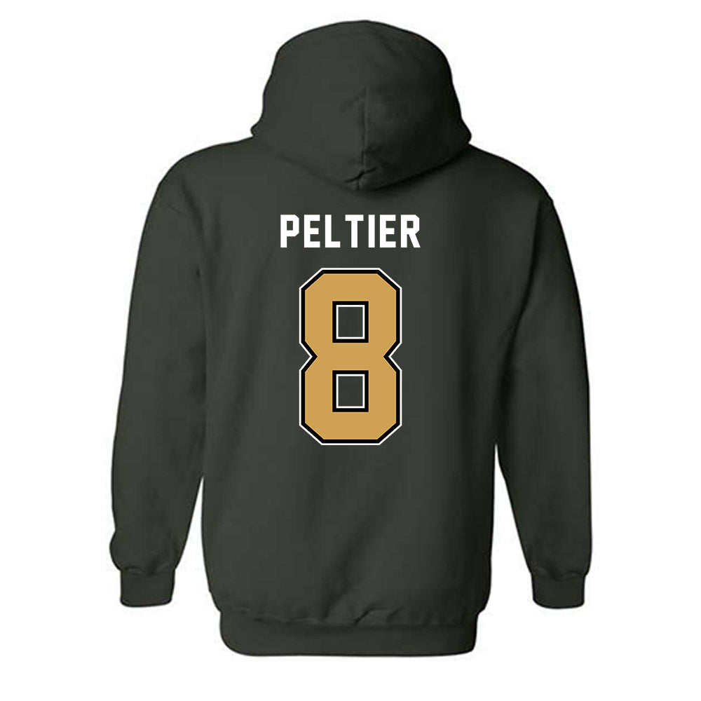Wright State - NCAA Baseball : Jp Peltier - Hooded Sweatshirt-1