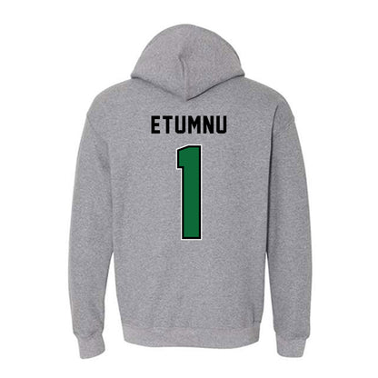 Wright State - NCAA Men's Basketball : Bryan Etumnu - Hooded Sweatshirt-1