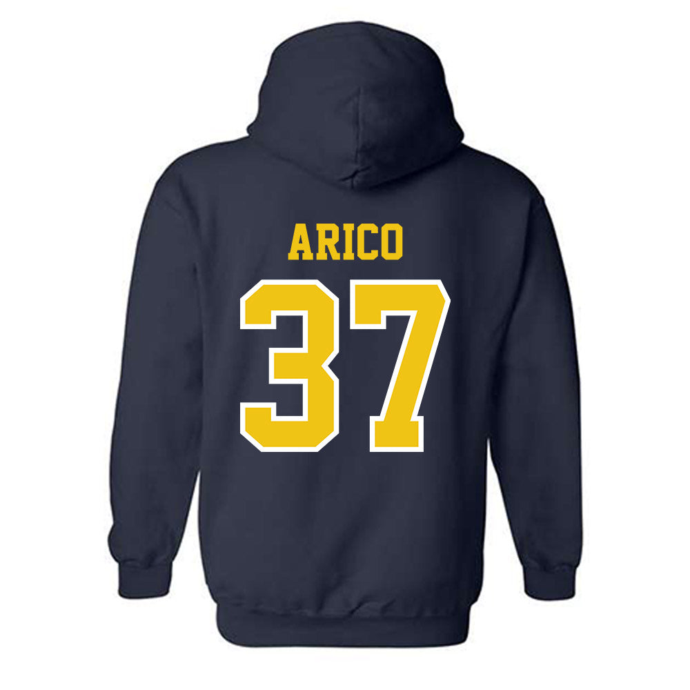 Michigan - NCAA Women's Lacrosse : Emma Arico - Classic Shersey Hooded Sweatshirt-1