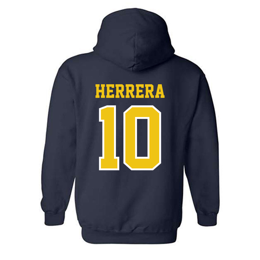 Michigan - NCAA Men's Soccer : Duilio Herrera - Classic Shersey Hooded Sweatshirt-1