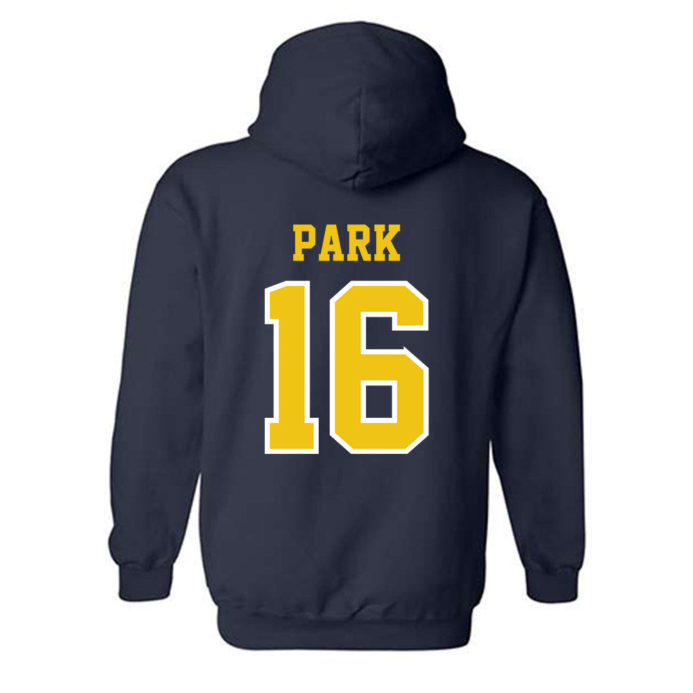 Michigan - NCAA Men's Ice Hockey : Aidan Park - Classic Shersey Hooded Sweatshirt-1