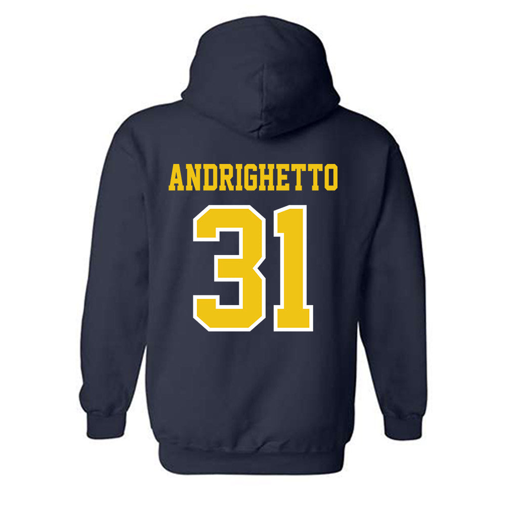 Michigan - NCAA Football : Nico Andrighetto - Classic Shersey Hooded Sweatshirt-1