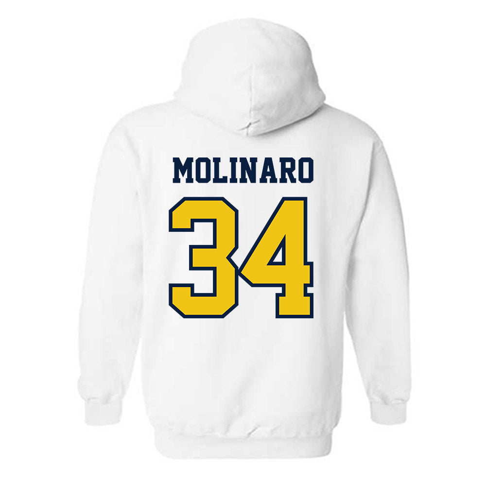 Michigan - NCAA Men's Ice Hockey : Julian Molinaro - Classic Shersey Hooded Sweatshirt-1