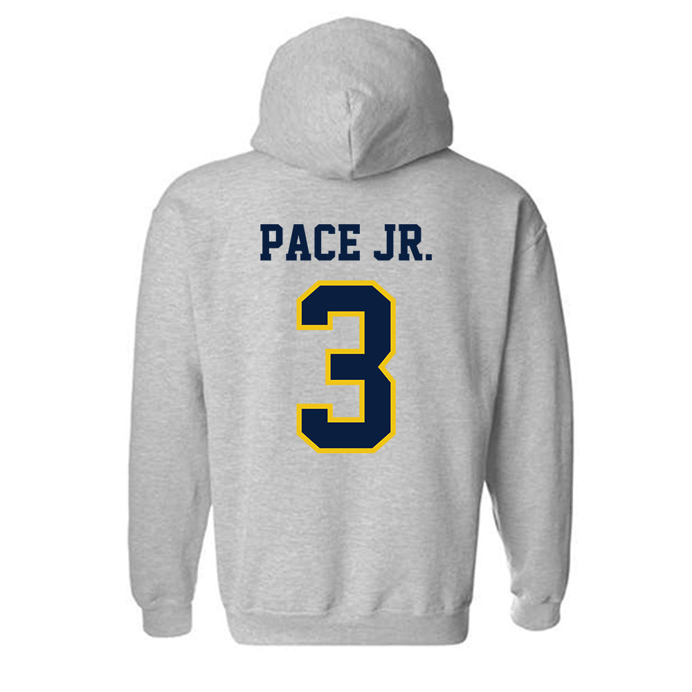 Michigan - NCAA Baseball : Greg Pace Jr. - Classic Shersey Hooded Sweatshirt-1