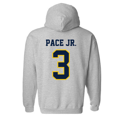 Michigan - NCAA Baseball : Greg Pace Jr. - Classic Shersey Hooded Sweatshirt-1