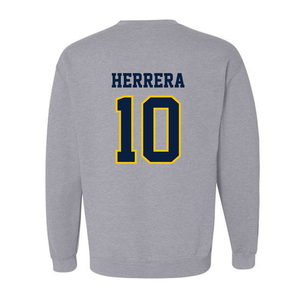 Michigan - NCAA Men's Soccer : Duilio Herrera - Classic Shersey Crewneck Sweatshirt-1