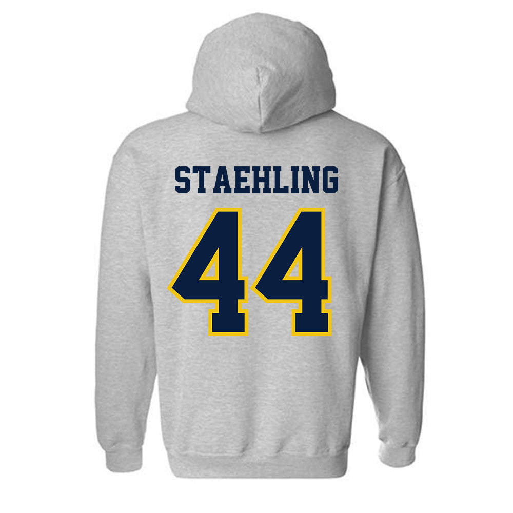 Michigan - NCAA Football : Nathaniel Staehling - Classic Shersey Hooded Sweatshirt-1