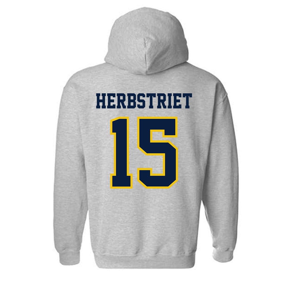 Michigan - NCAA Football : Chase Herbstriet - Classic Shersey Hooded Sweatshirt-1