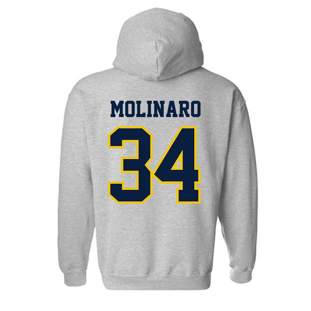 Michigan - NCAA Men's Ice Hockey : Julian Molinaro - Classic Shersey Hooded Sweatshirt-1