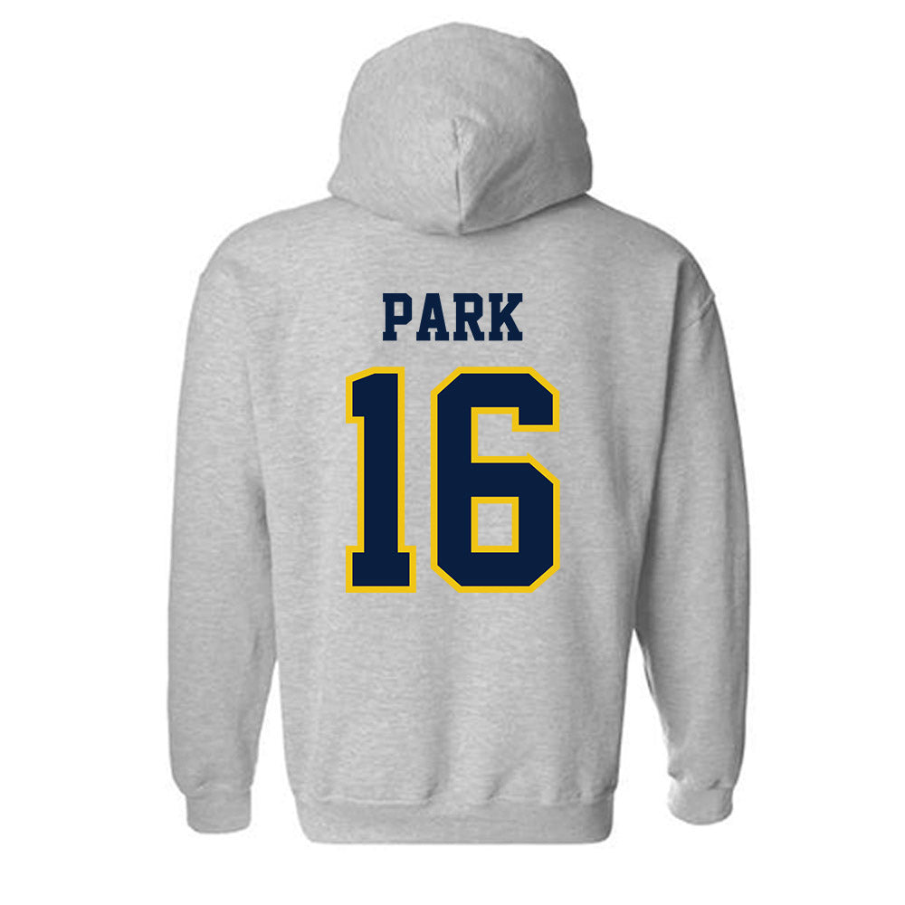 Michigan - NCAA Men's Ice Hockey : Aidan Park - Classic Shersey Hooded Sweatshirt-1