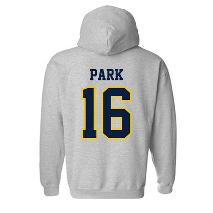 Michigan - NCAA Men's Ice Hockey : Aidan Park - Classic Shersey Hooded Sweatshirt-1