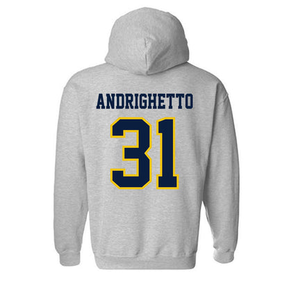 Michigan - NCAA Football : Nico Andrighetto - Classic Shersey Hooded Sweatshirt-1