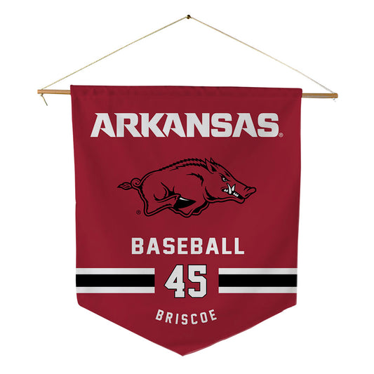 Arkansas - NCAA Baseball : Tye Briscoe - Pennant - 18" x 21"-0