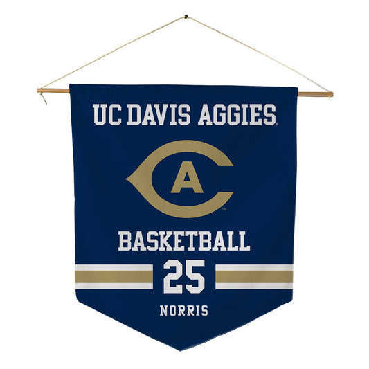 UC Davis - NCAA Women's Basketball : Megan Norris - Pennant - 18" x 21"-0