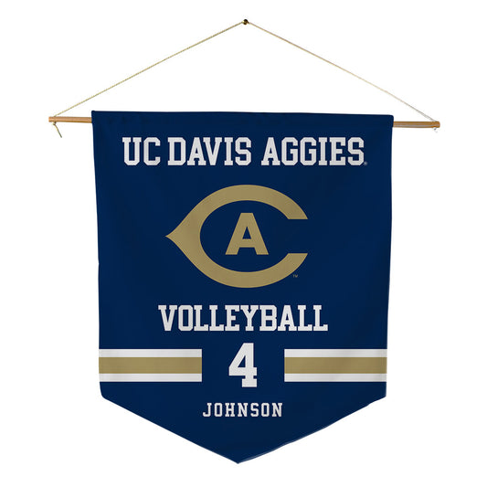 UC Davis - NCAA Women's Volleyball : Jada Johnson - Pennant - 18" x 21"-0
